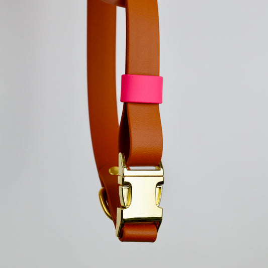 Collier à clip pour chien, en Biothane et laiton, personnalisable, sur mesure. Doré marron et rose