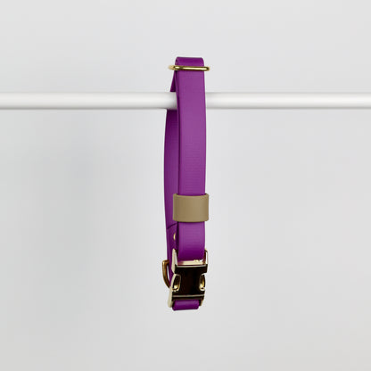 Collier clip taille M violet
