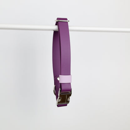 Collier clip taille M violet