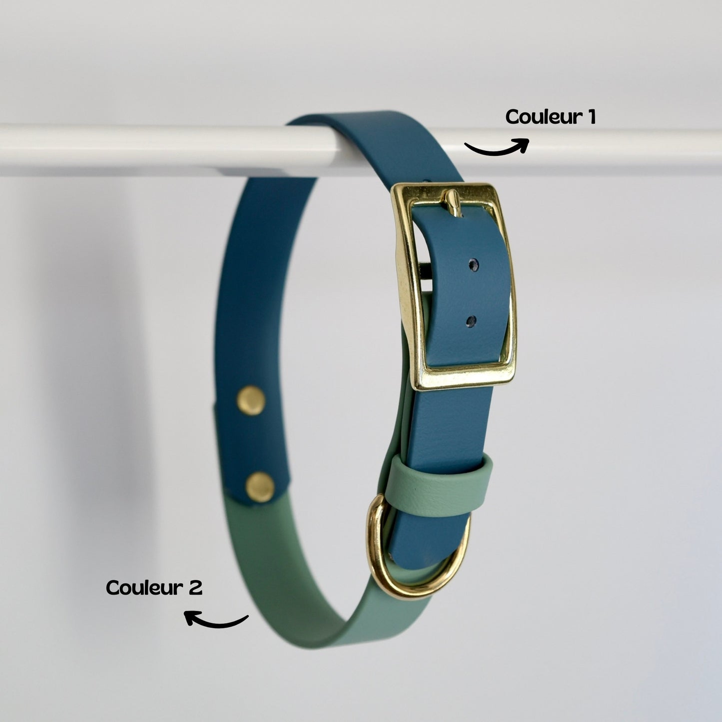 Collier bicolore pour chien personnalisable en Biothane et laiton, fabrication française. 