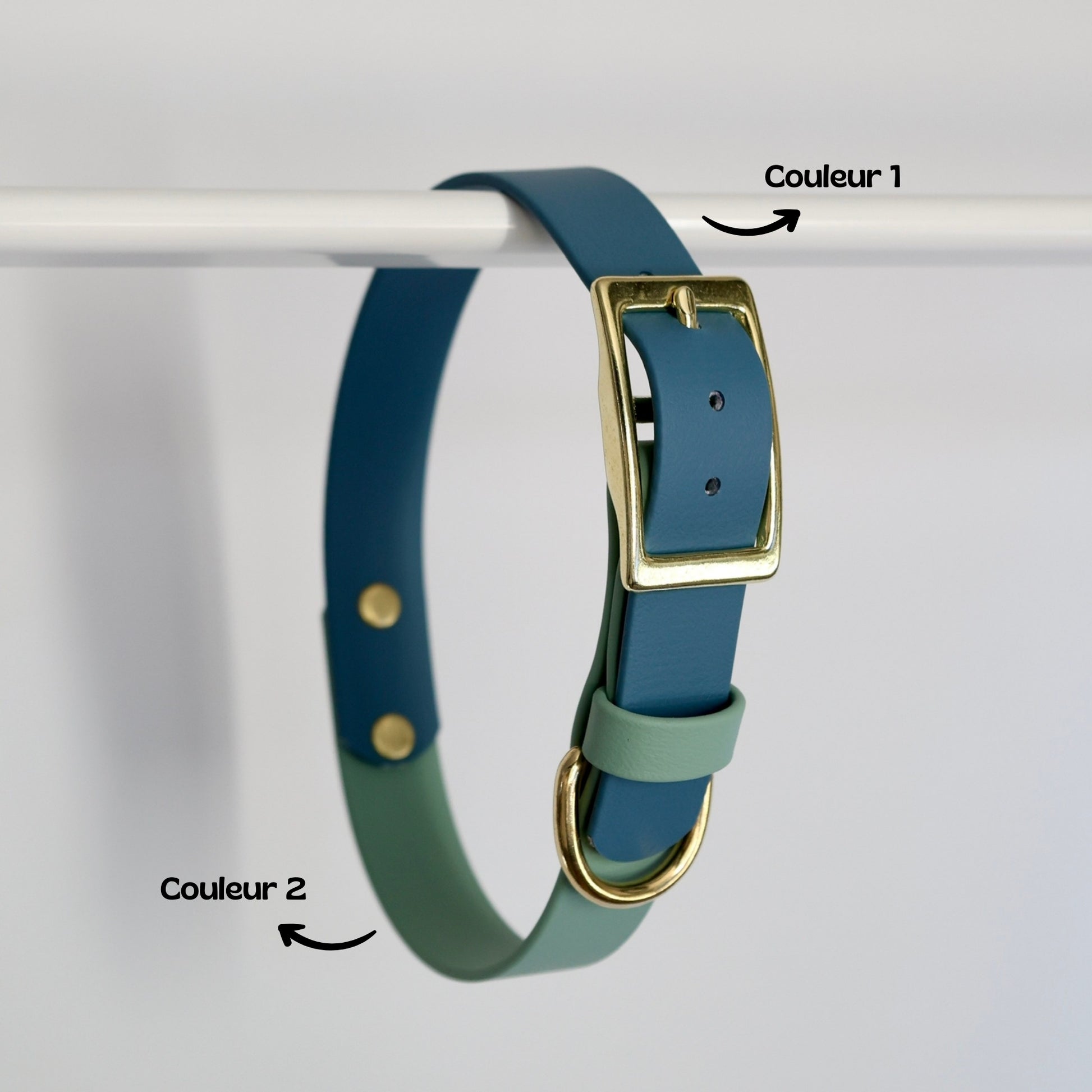 Collier bicolore pour chien personnalisable en Biothane et laiton, fabrication française. 