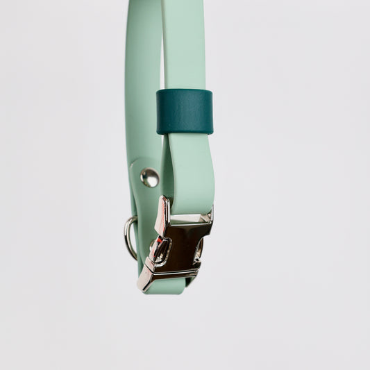 Collier à clip pour chien, en Biothane et laiton, personnalisable, sur mesure. Vert sauge, vert forêt, argent