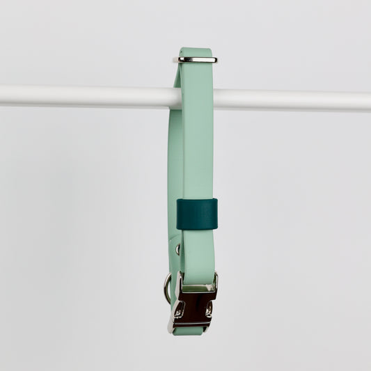 Collier à clip pour chien, en Biothane et laiton, personnalisable, sur mesure. Vert sauge, vert forêt, argent