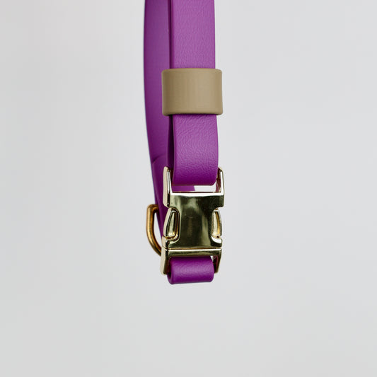 Collier à clip pour chien, en Biothane et laiton, personnalisable, sur mesure. Violet grappe, beige et doré