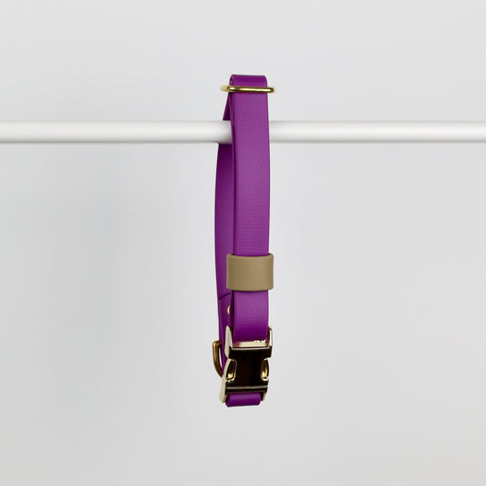 Collier à clip pour chien, en Biothane et laiton, personnalisable, sur mesure. Violet grappe, beige et doré
