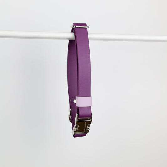 Collier à clip pour chien, en Biothane et laiton, personnalisable, sur mesure. Violet, mauve, argenté