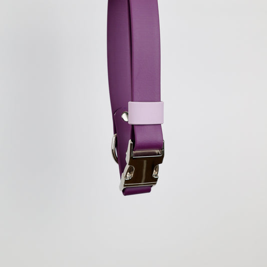 Collier à clip pour chien, en Biothane et laiton, personnalisable, sur mesure. Violet, mauve, argenté