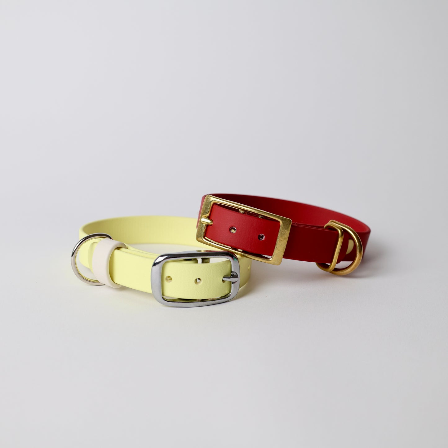 Collier pour chien personnalisable en Biothane