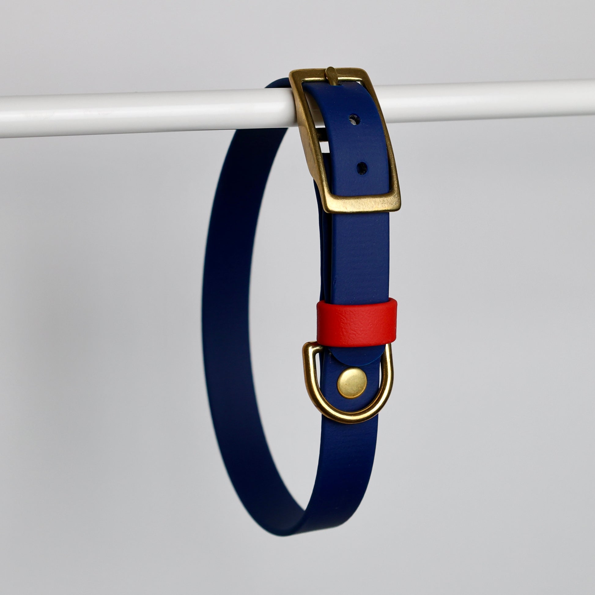 Collier pour chien personnalisable en Biothane
