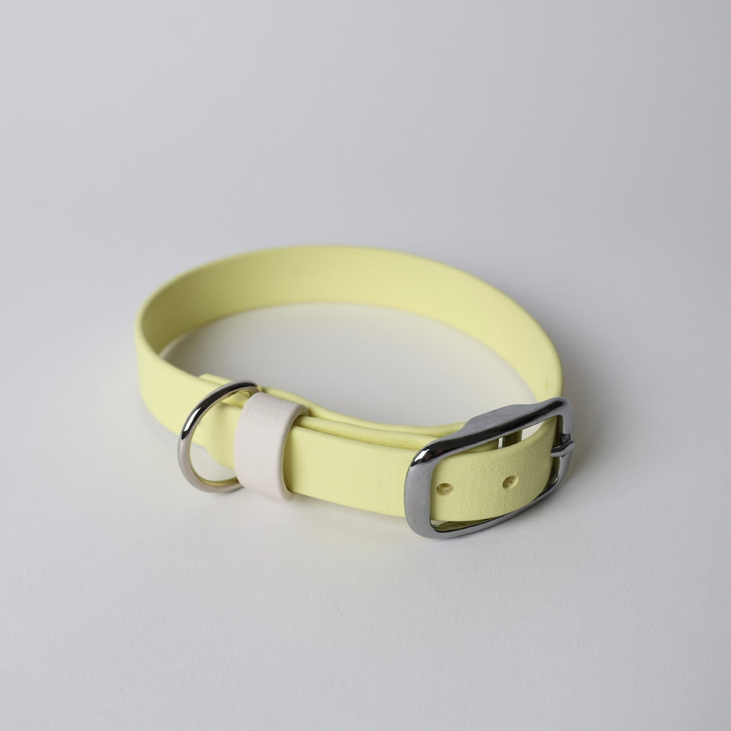 Collier pour chien personnalisable en Biothane