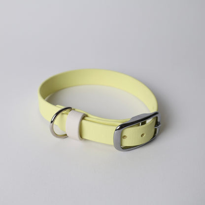 Collier pour chien personnalisable en Biothane