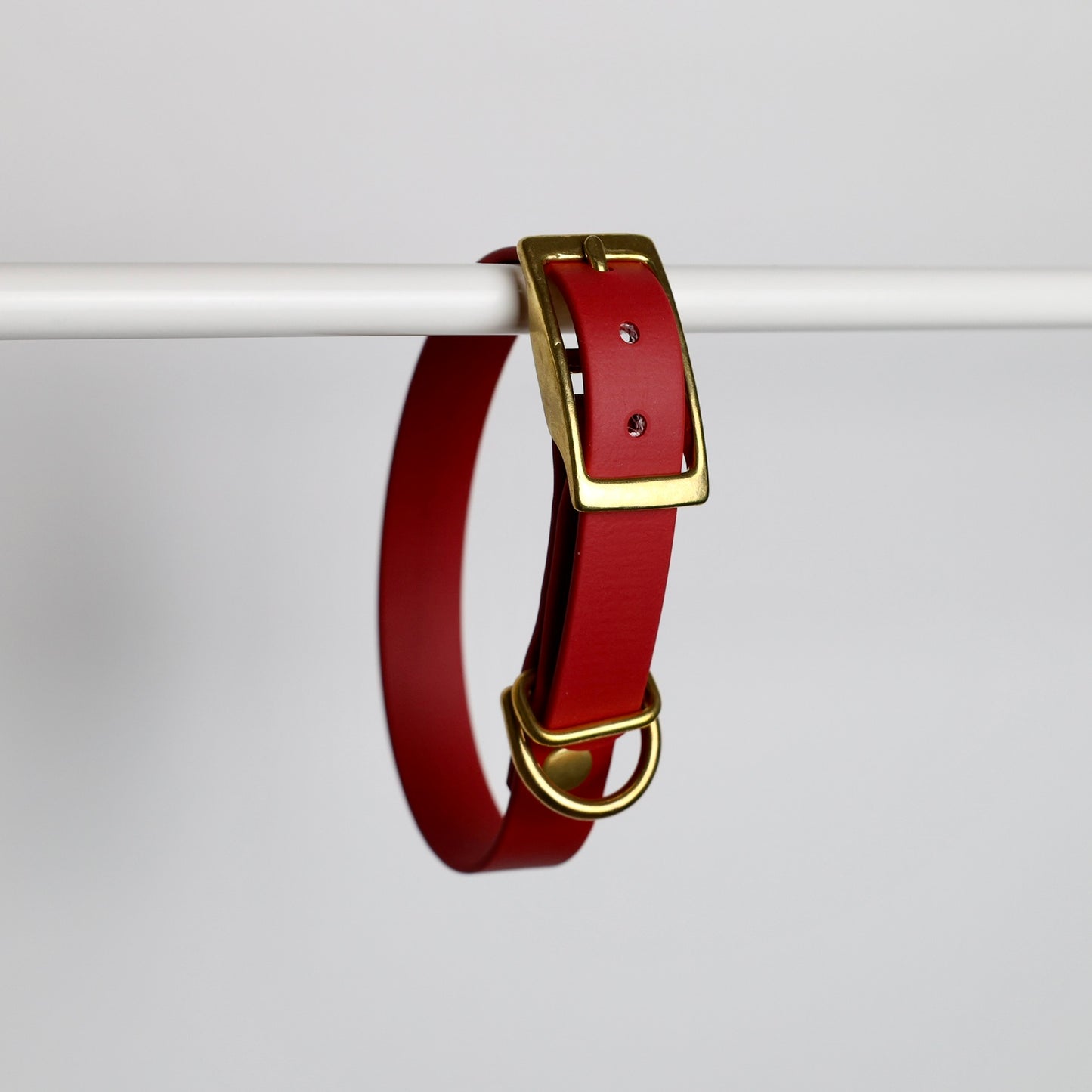 Collier pour chien personnalisable en Biothane