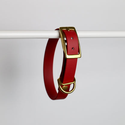 Collier pour chien personnalisable en Biothane