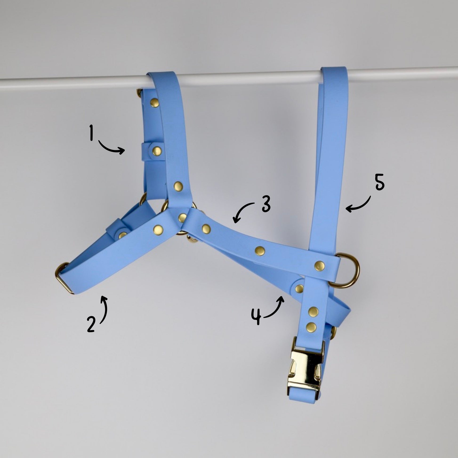 Harnais sur mesure en Biothane et laiton. Imperméable, hypoallergénique