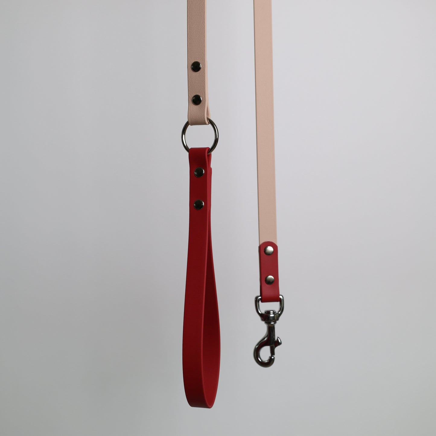 Laisse bicolore pour chien personnalisable en Biothane et laiton, poudre et crimson