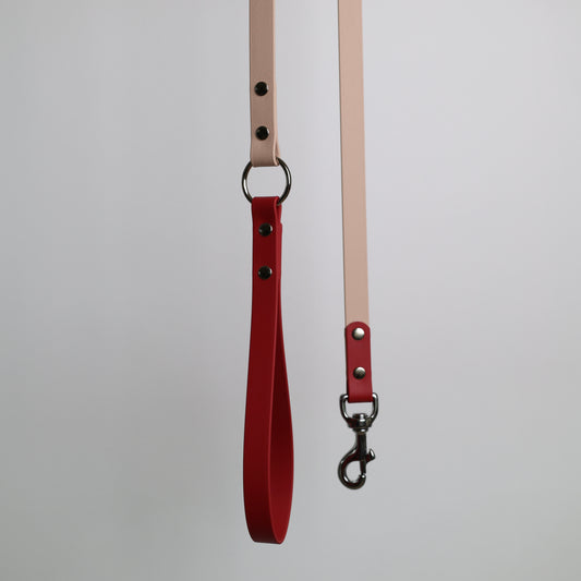 Laisse bicolore pour chien personnalisable en Biothane et laiton, poudre et crimson