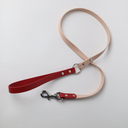 Laisse bicolore pour chien personnalisable en Biothane et laiton, poudre et crimson