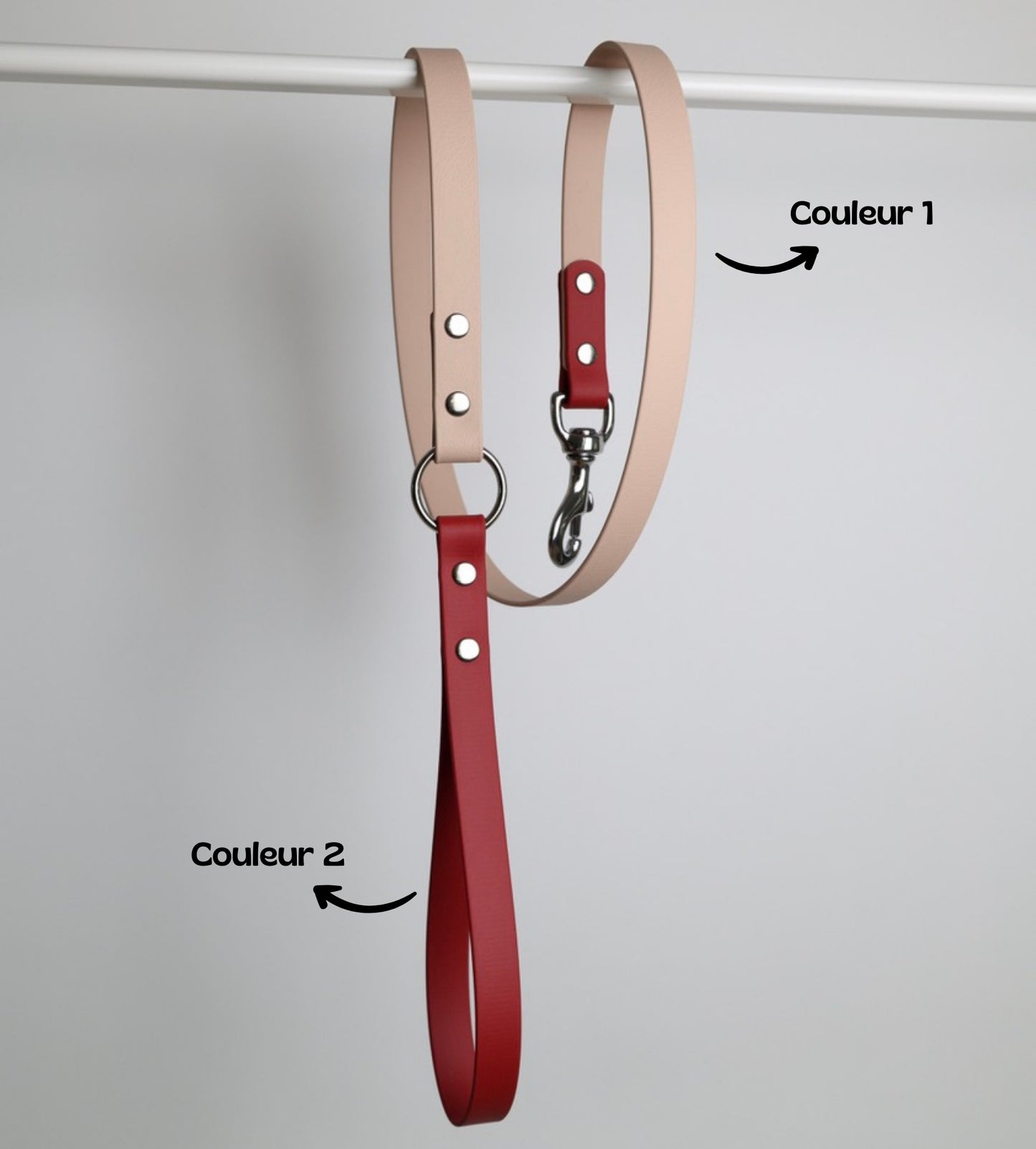 Laisse bicolore pour chien personnalisable en Biothane et laiton, poudre et crimson