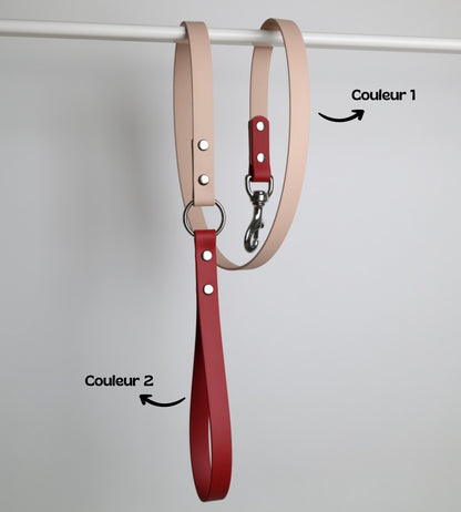 Laisse bicolore pour chien personnalisable en Biothane et laiton, poudre et crimson