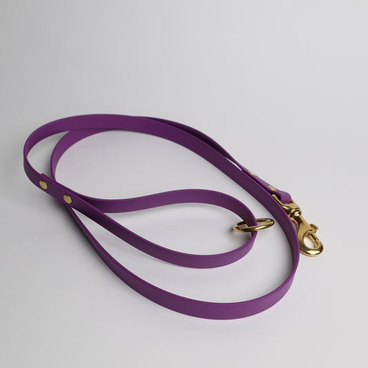 Laisse pour chien personnalisable en Biothane et laiton, violet grappe