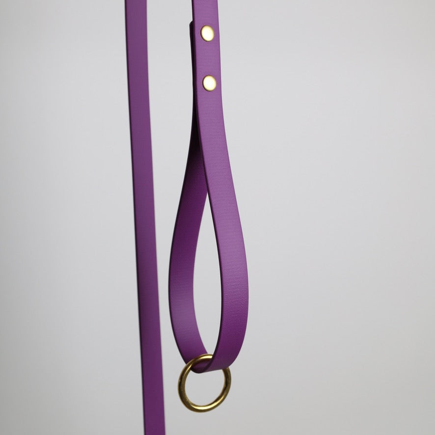 Laisse pour chien personnalisable en Biothane et laiton, violet grappe