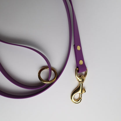 Laisse pour chien personnalisable en Biothane et laiton, violet grappe