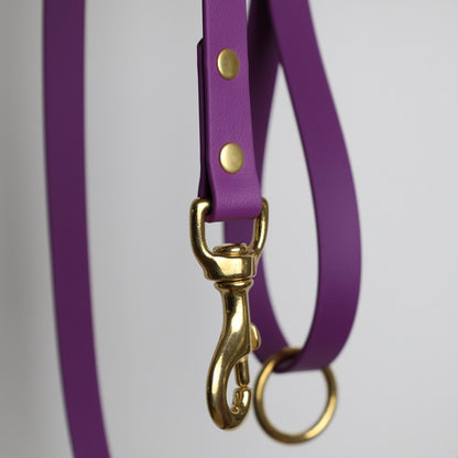 Laisse pour chien personnalisable en Biothane et laiton, violet grappe