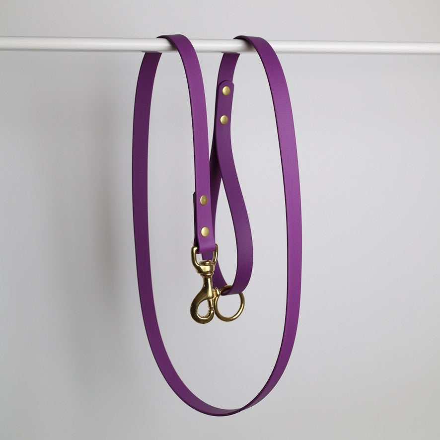 Laisse pour chien personnalisable en Biothane et laiton, violet grappe