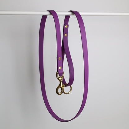 Laisse pour chien personnalisable en Biothane et laiton, violet grappe