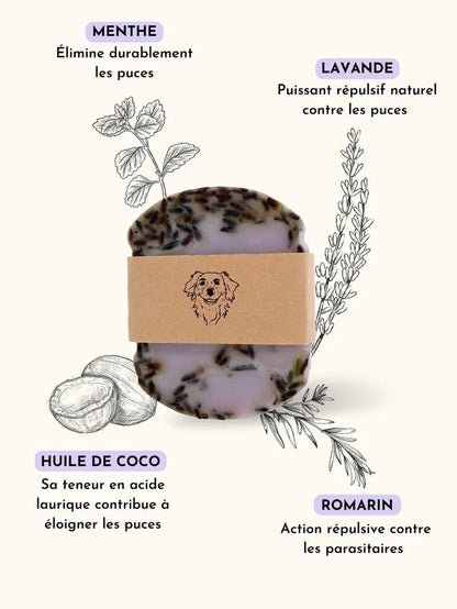 Shampoing anti-puce