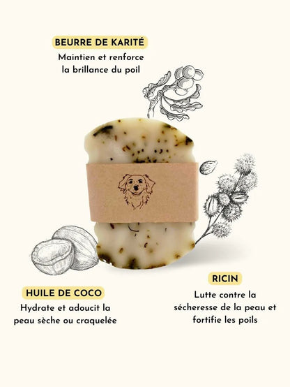 Shampoing poil soyeux